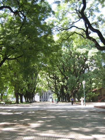 We were amazed by the huge trees in this park.