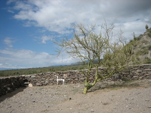 Quilmes - notice llama made of white stone.