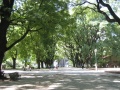 argentina06/thumb/IMG_0496_thumb.jpg