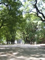 argentina06/thumb/IMG_0497_thumb.jpg