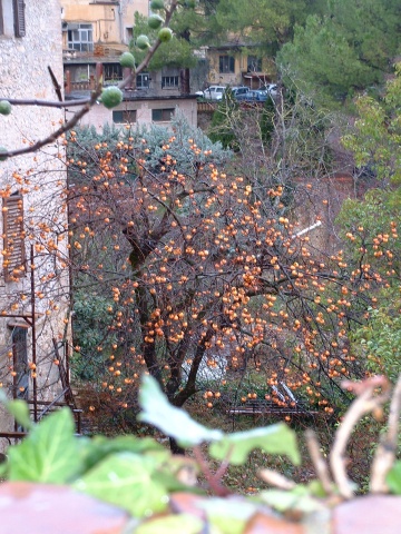 San Gimignano.